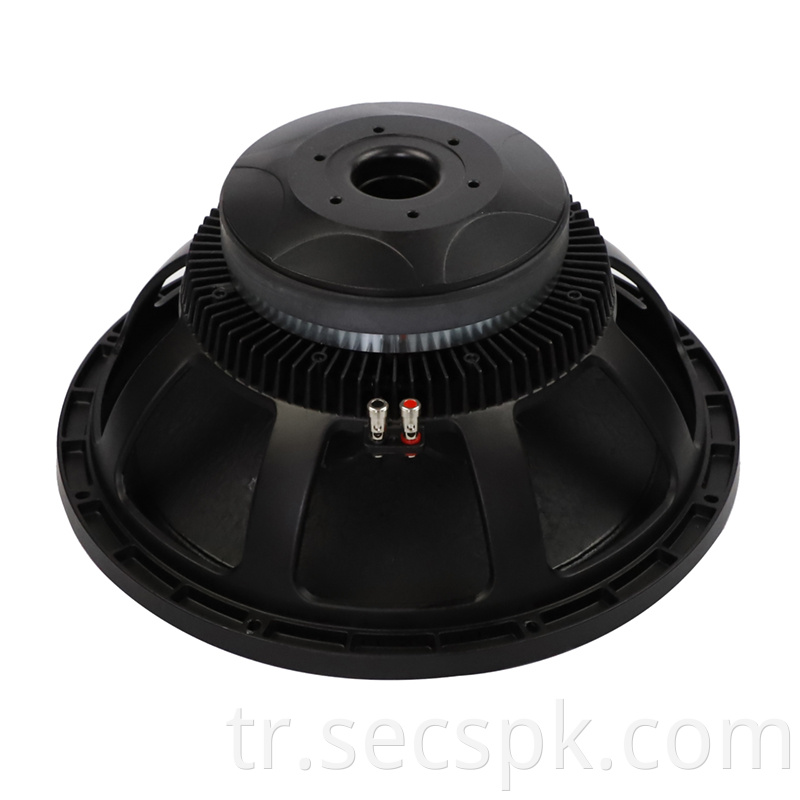 8ohm Party Stage Speaker